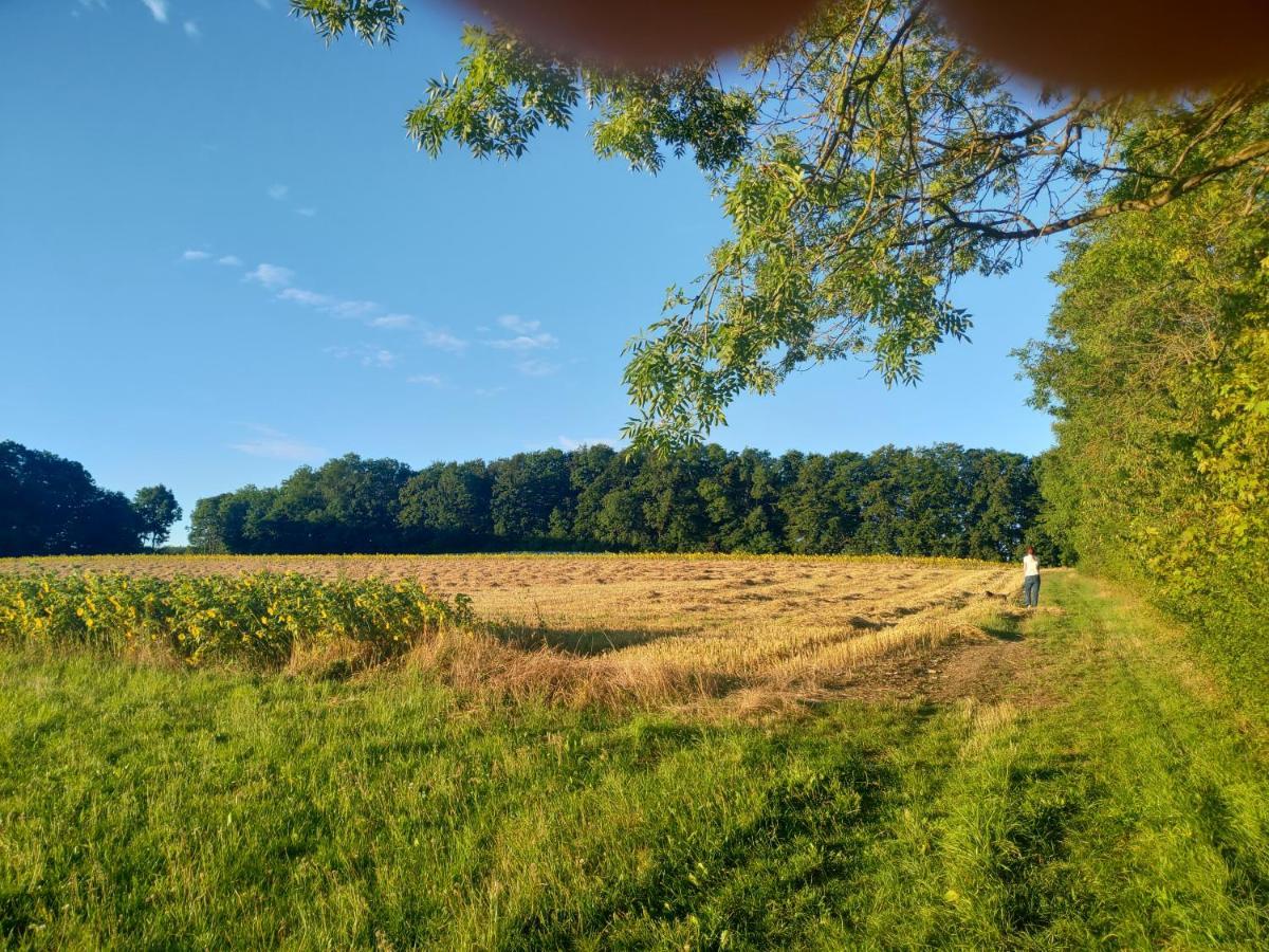 Haus Ringgau - Urlaub, Gemeinschaft Und Erlebnis Im Herzen Von Deutschland Herleshausen 外观 照片