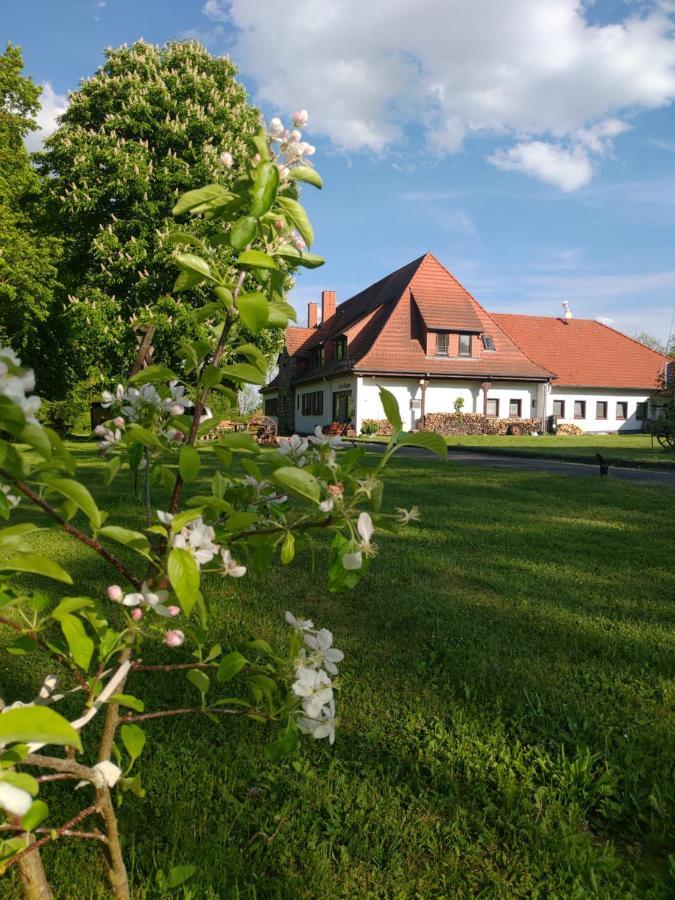 Haus Ringgau - Urlaub, Gemeinschaft Und Erlebnis Im Herzen Von Deutschland Herleshausen 外观 照片