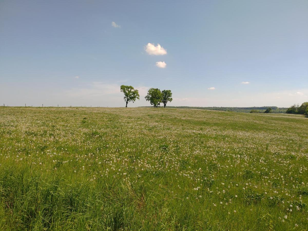 Haus Ringgau - Urlaub, Gemeinschaft Und Erlebnis Im Herzen Von Deutschland Herleshausen 外观 照片