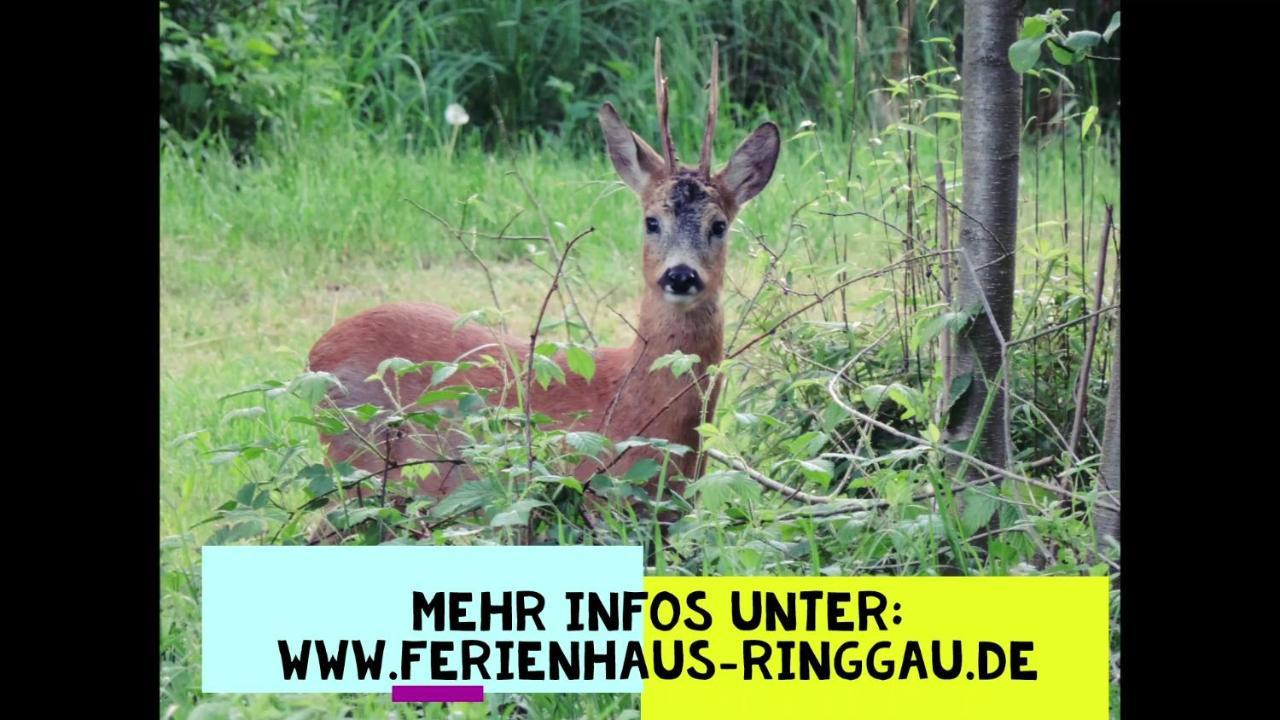 Haus Ringgau - Urlaub, Gemeinschaft Und Erlebnis Im Herzen Von Deutschland Herleshausen 外观 照片