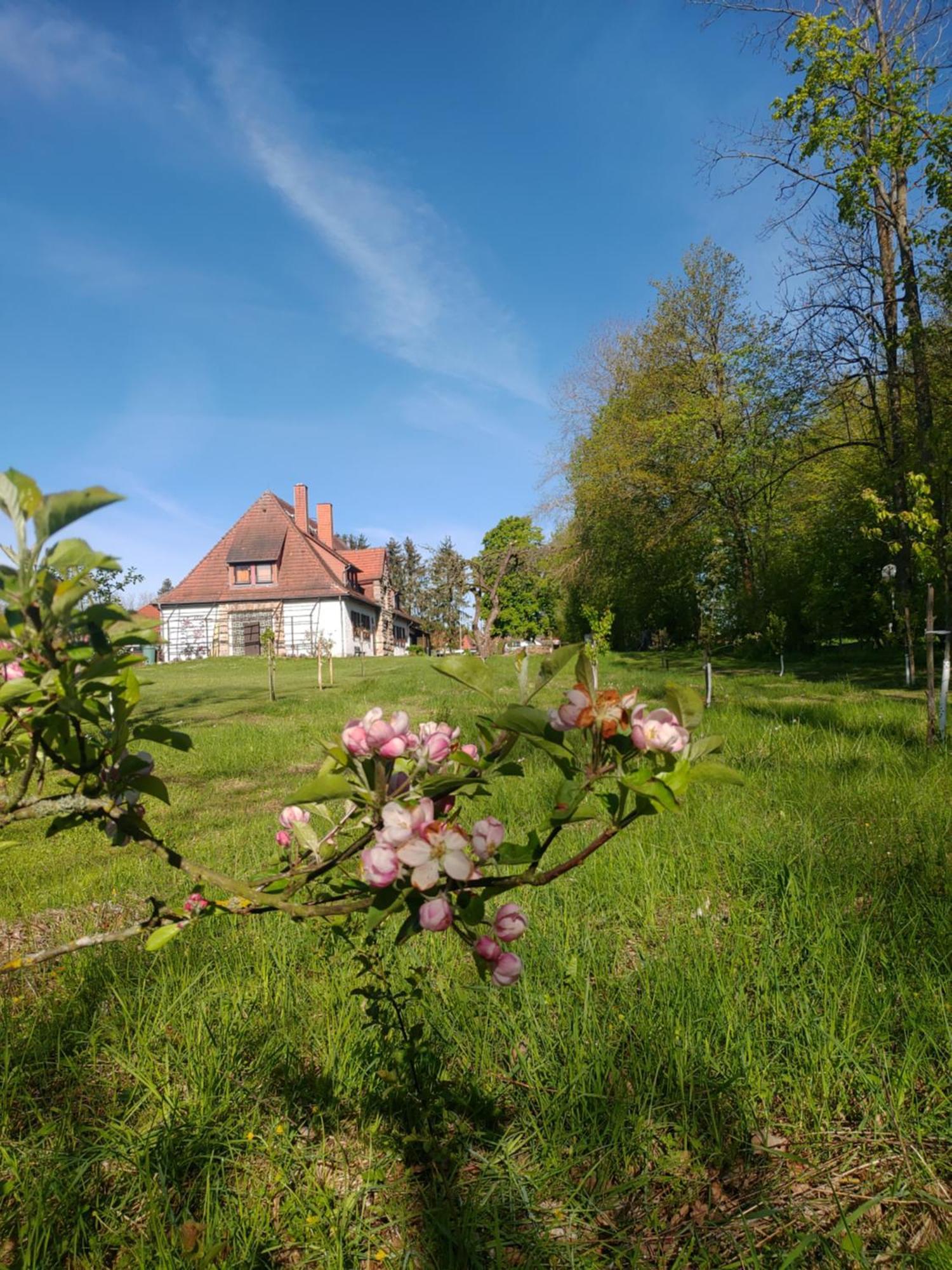 Haus Ringgau - Urlaub, Gemeinschaft Und Erlebnis Im Herzen Von Deutschland Herleshausen 外观 照片